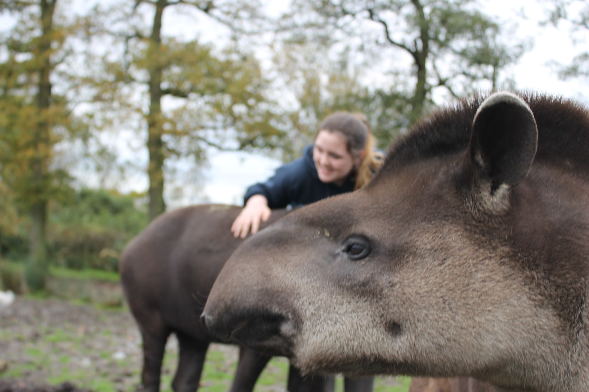 Knowsley Safari launches animal academy for teenagers