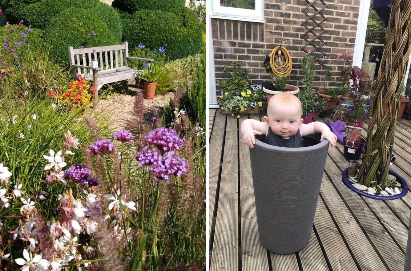 Surbiton resident wins Royal Star & Garter garden competition