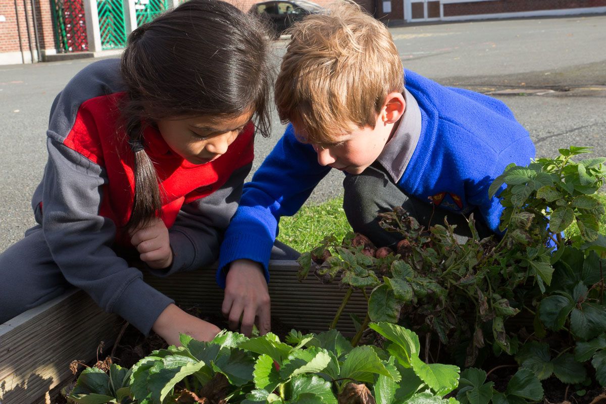 Hertfordshire is being challenged to get involved in community challenges