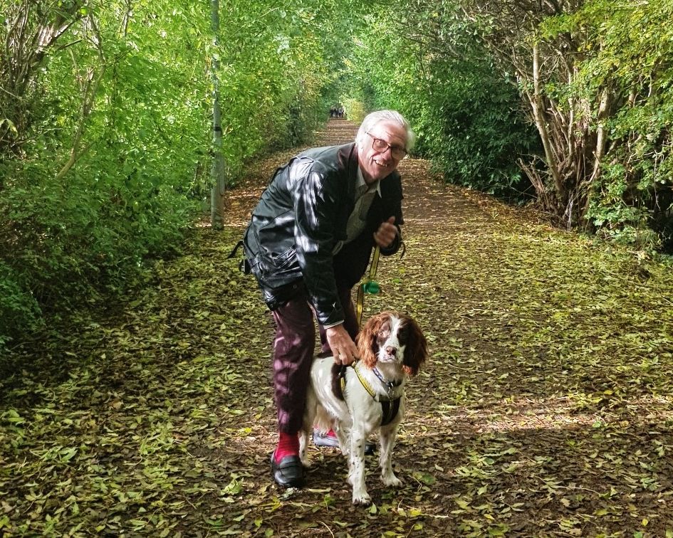 Rules to force dogs on lead at all times may lead to homeless pets