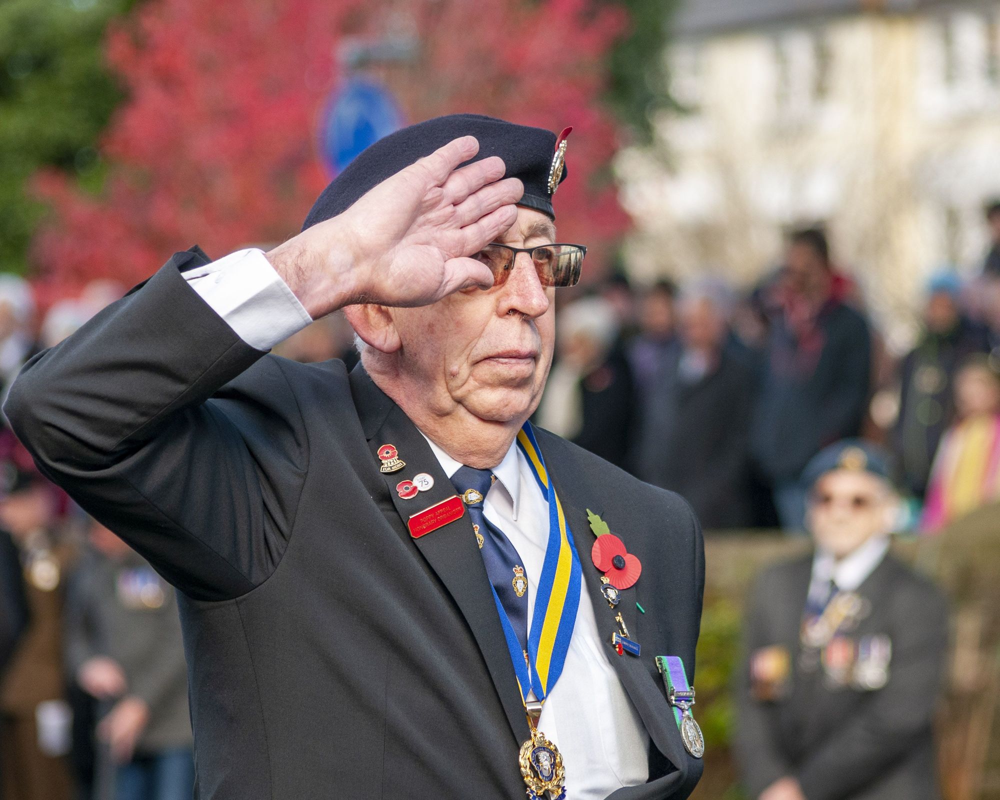 Barnstaple residents urged to reflect at home this Remembrance Sunday
