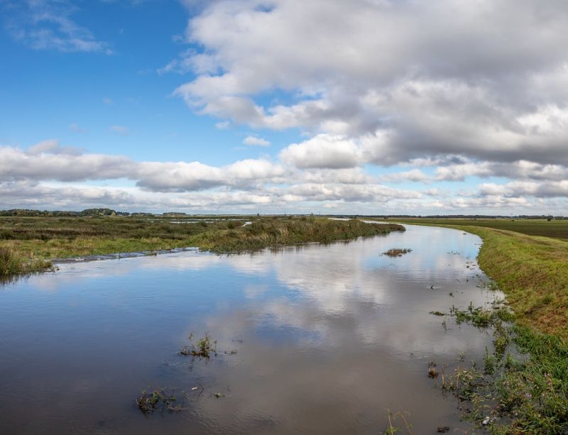 Scene by You: Barges, birds and trains captured by you