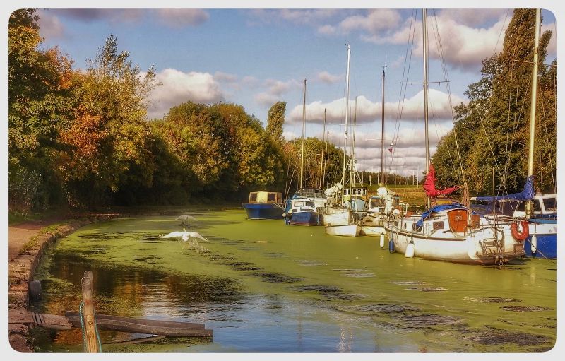 Scene by You: Parks and pooches feature in these week's collection