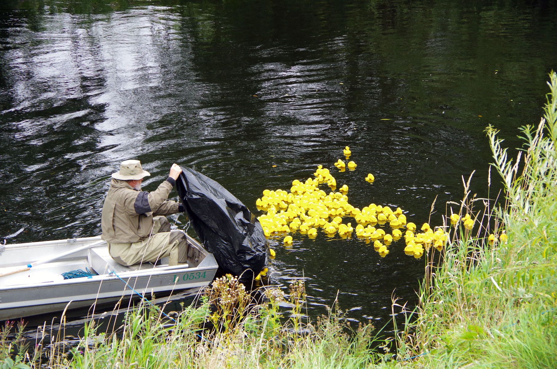 Wrexham hospice take their annual duck races online