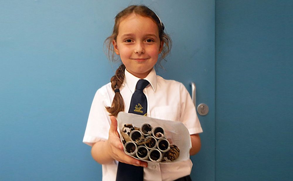 Thanet pupils provide creature comforts in 5-star bug hotels