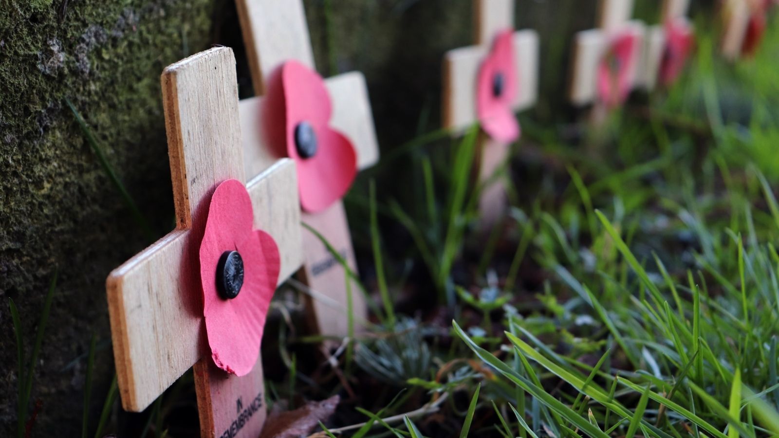 Paignton veterans pledge 'We will remember them' despite Covid-19 restrictions