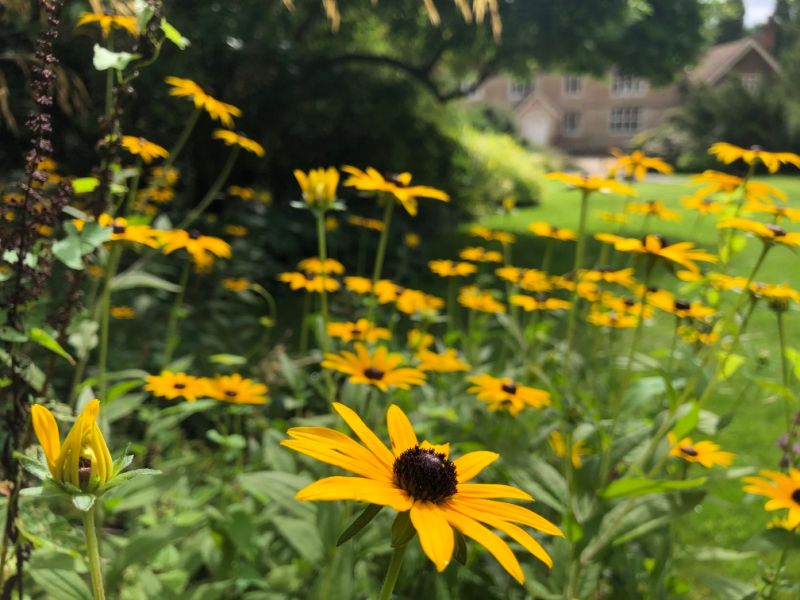 Lottery funding for Sevenoaks garden