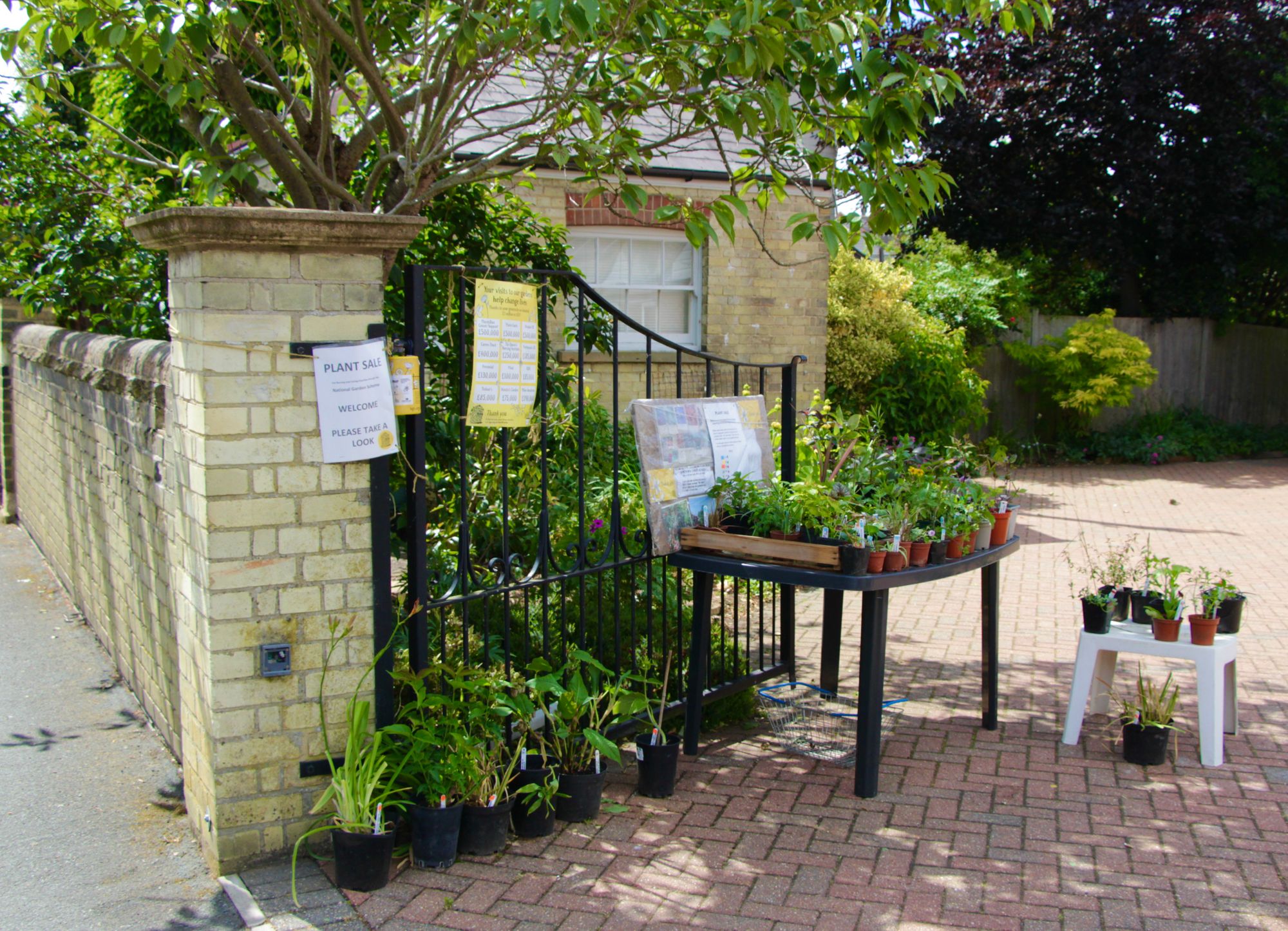 Couple in their 80s who held plant sale almost every day during lockdown raise £3,500 for nurse campaign