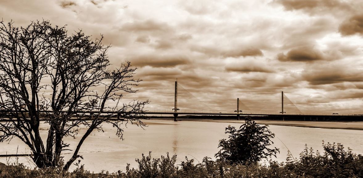 Scene By You: Photographers share their pictures from across Halton