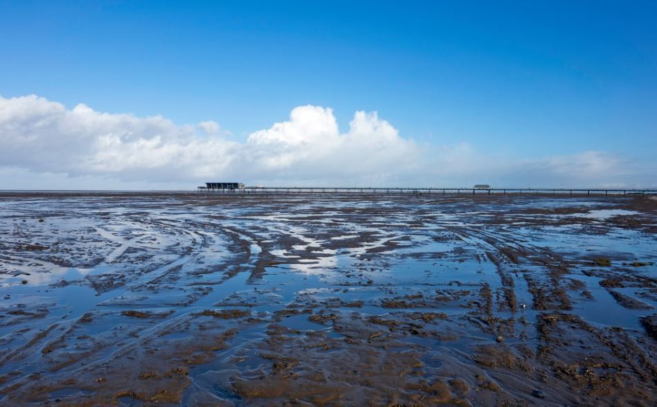 Scene By You: Sefton readers share their pictures from across the borough