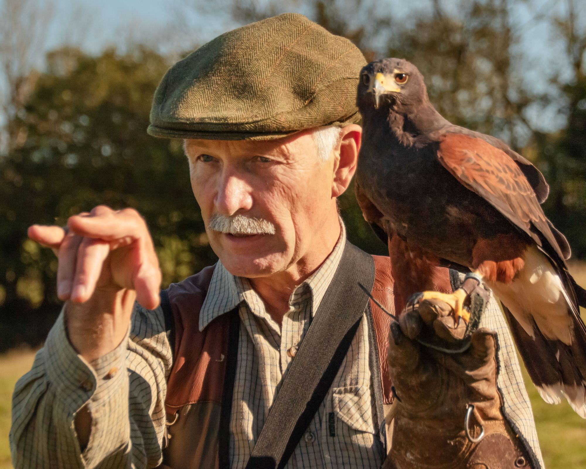 Nigel's hawk walks among world's top attractions on TripAdvisor