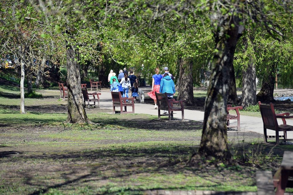 14 Green Flags for Cardiff’s parks and green spaces