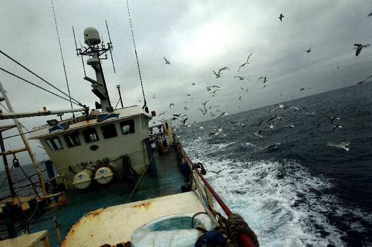 Newlyn on top of fishing figures as boss delivers stark Brexit warning