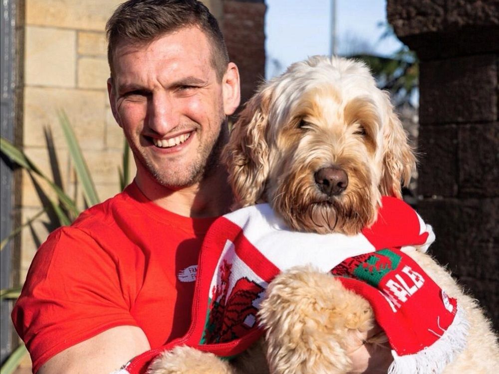 Rugby legend Sam Warburton set to judge virtual dog show