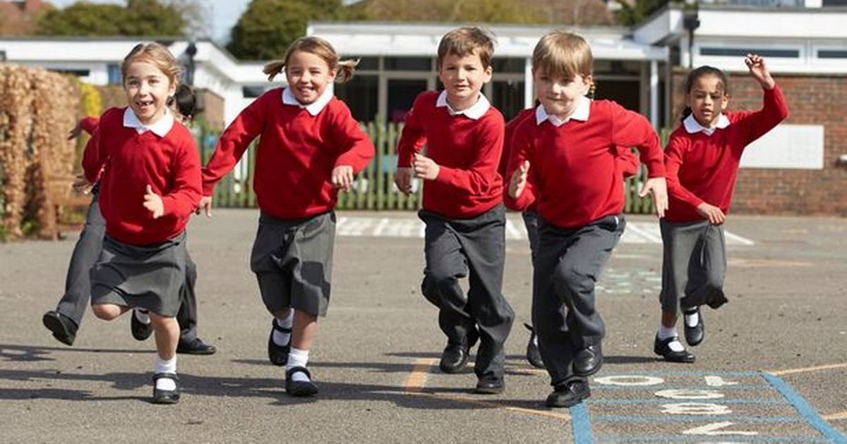 Biggest special education survey launched in Cornwall