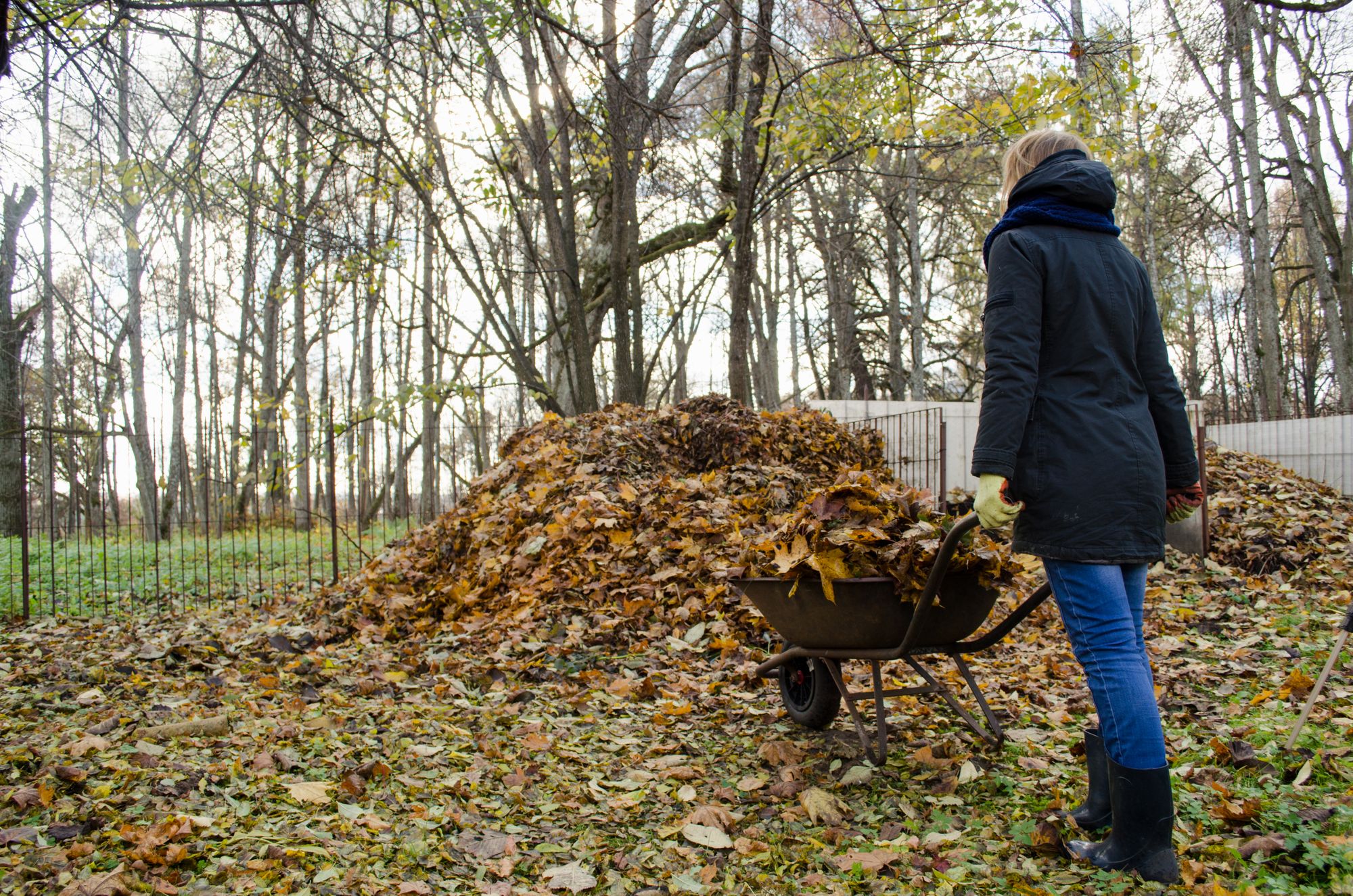 Garden waste collections for Bridgend end this Friday