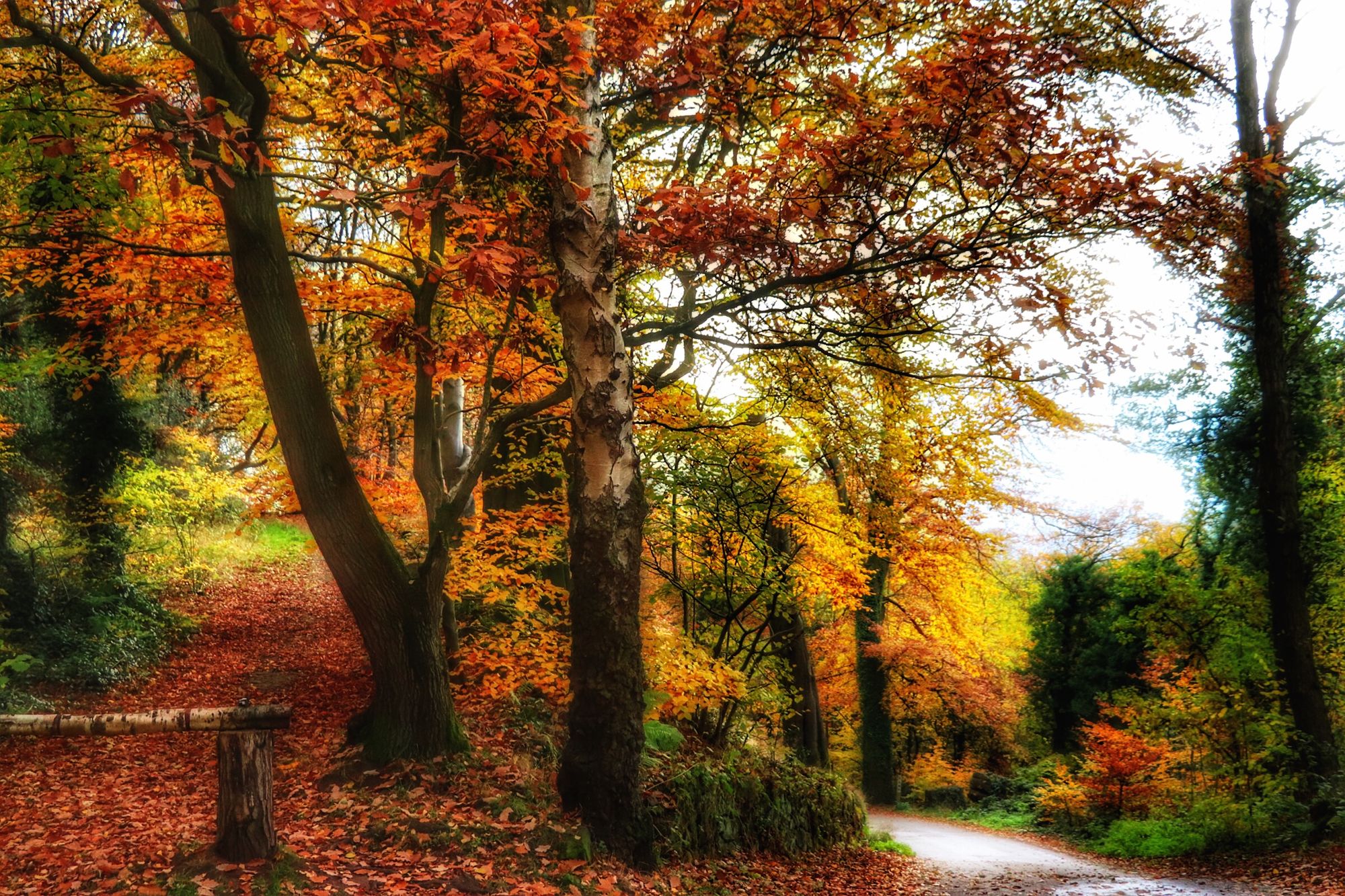 Major concerns raised over 'deterioration' of Staffordshire Moorlands beauty spot