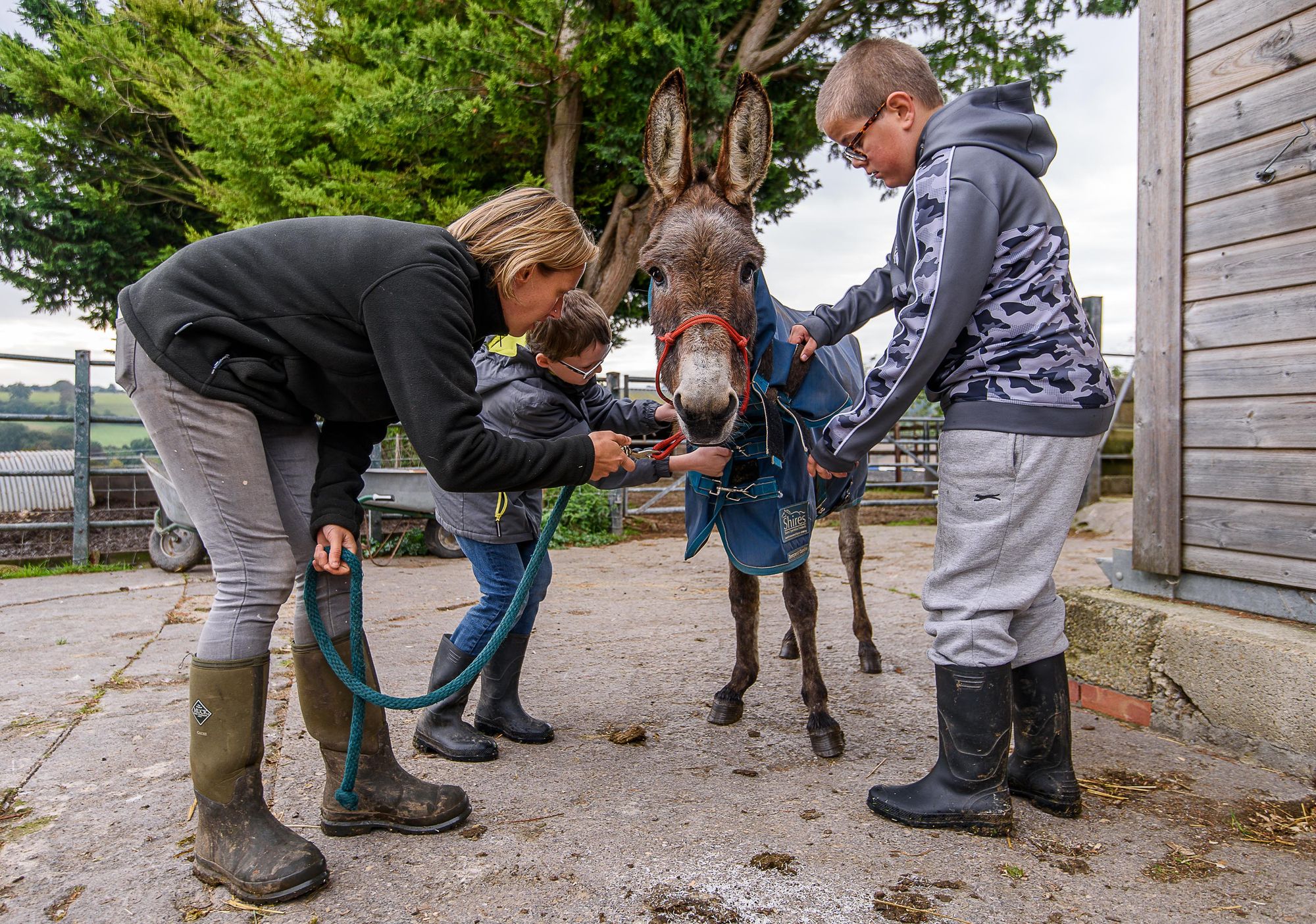 Bath farm transforms the lives of local children but it needs your