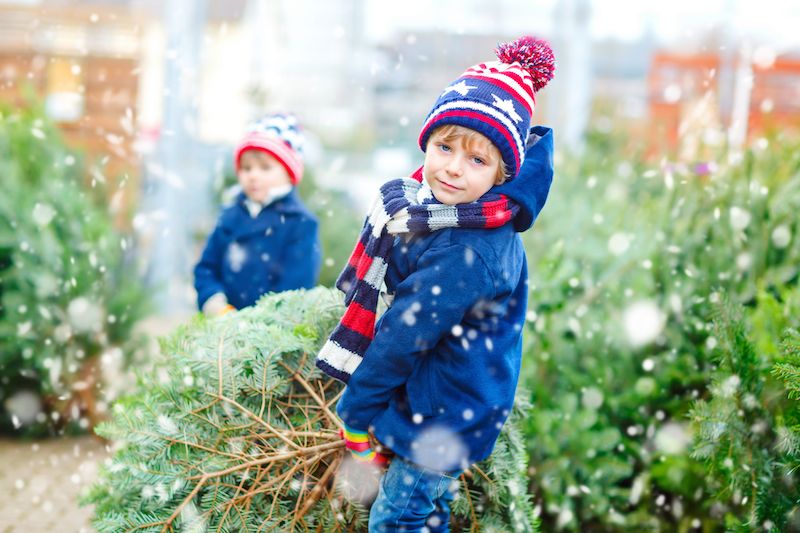 Enter the InYourArea Christmas Tree World Cup with a photo of your decorated tree