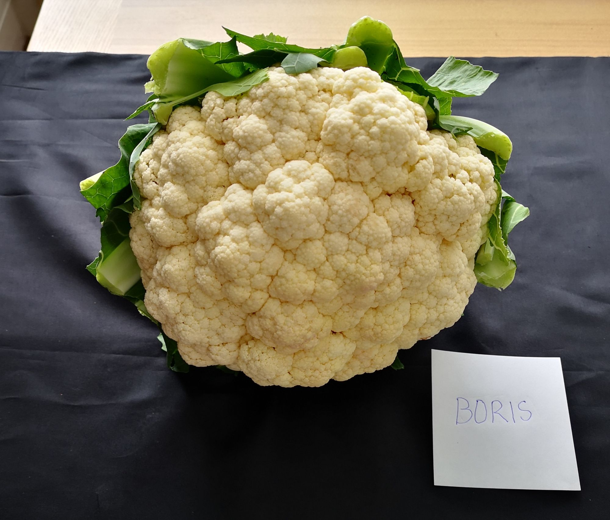 Leek Allotment Holders and Gardeners Association to hold a 2020 virtual Christmas Show
