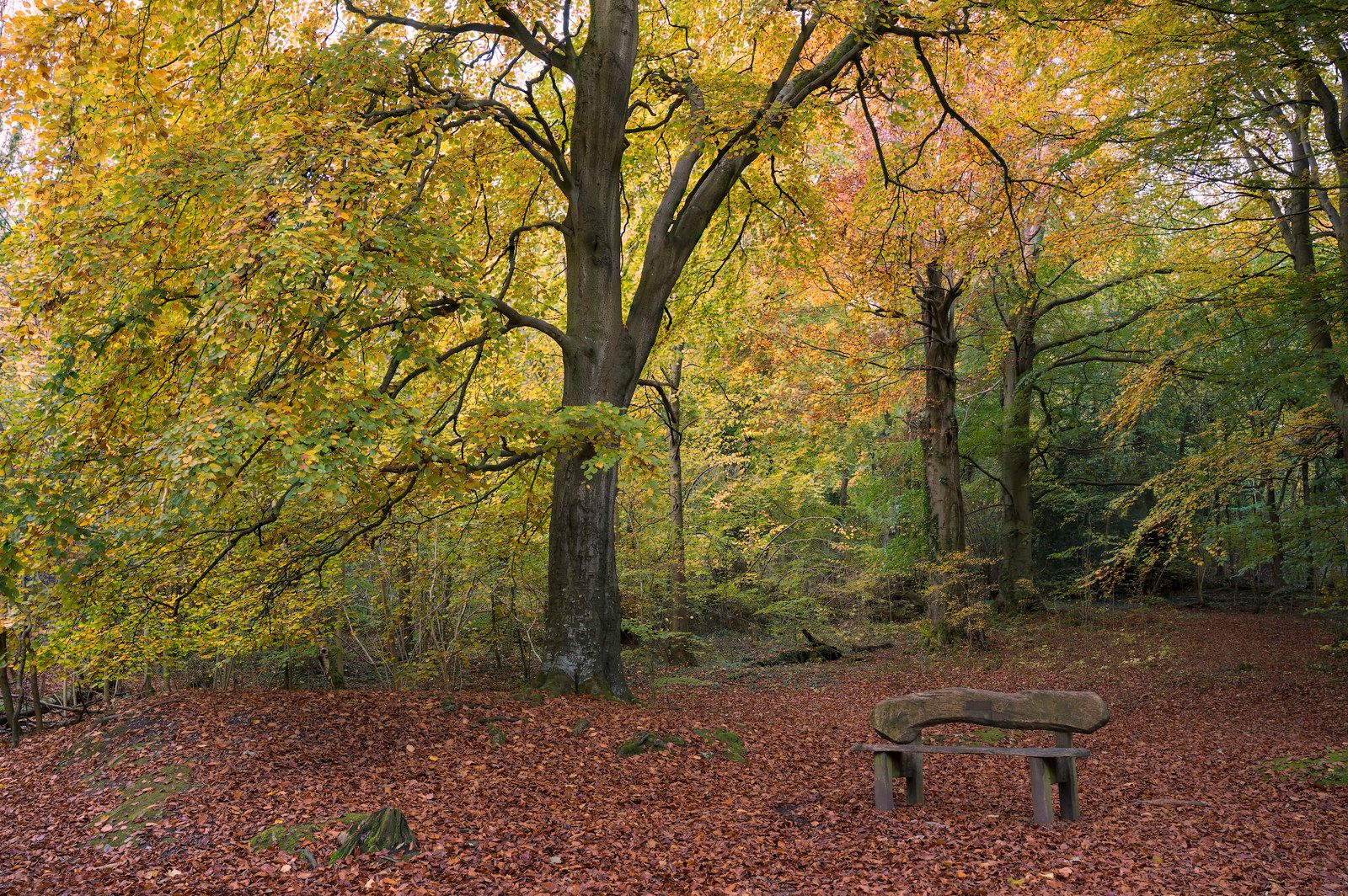 Scene by You: Nature on display in Crewe