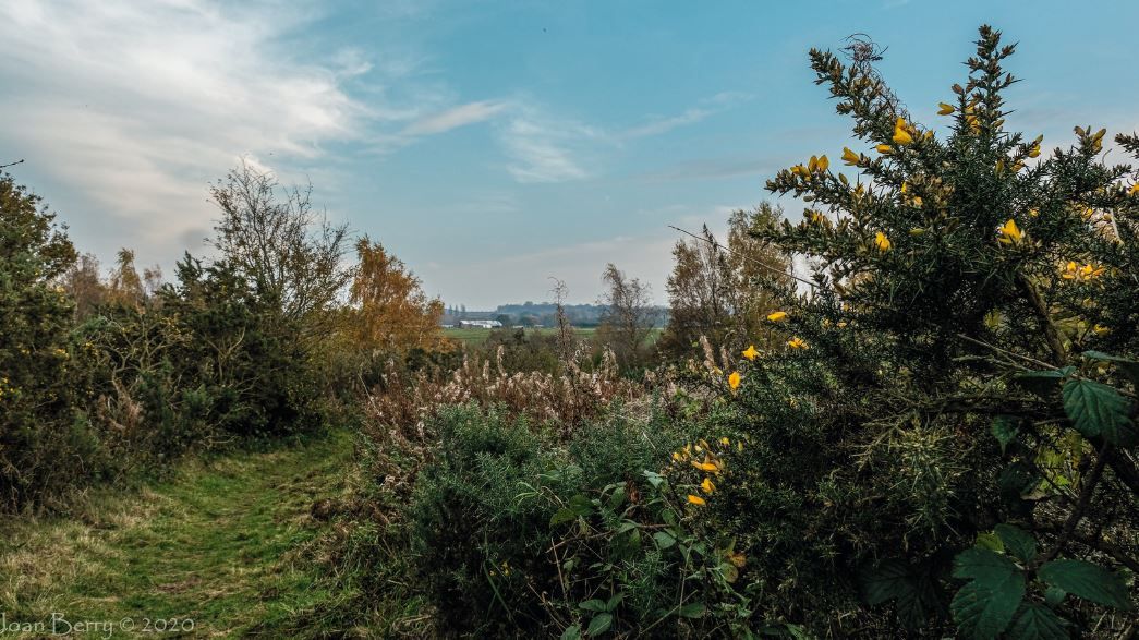 Scene By You: Pictures of Halton captured by local photographers