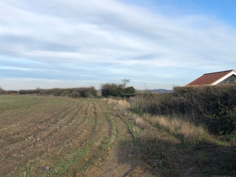 Improving views of the Shotley skyline