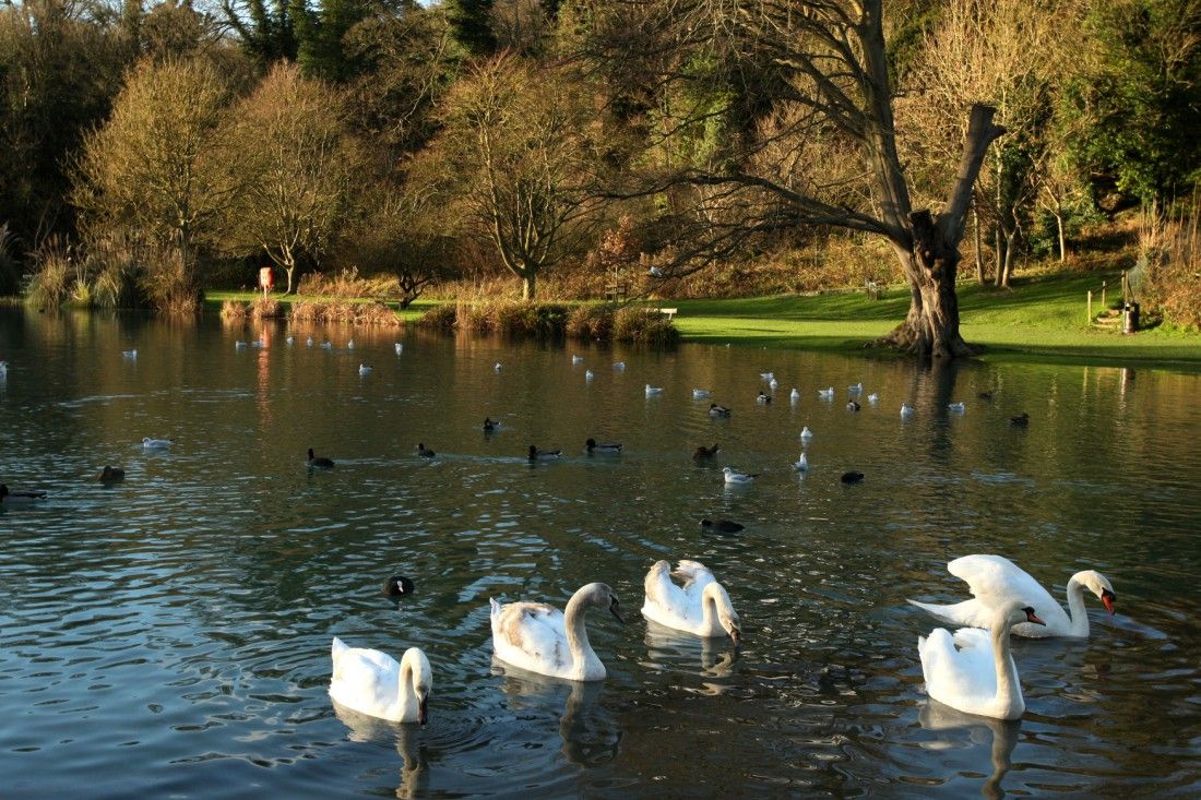 Photos needed to brighten rooms in Margate hospice