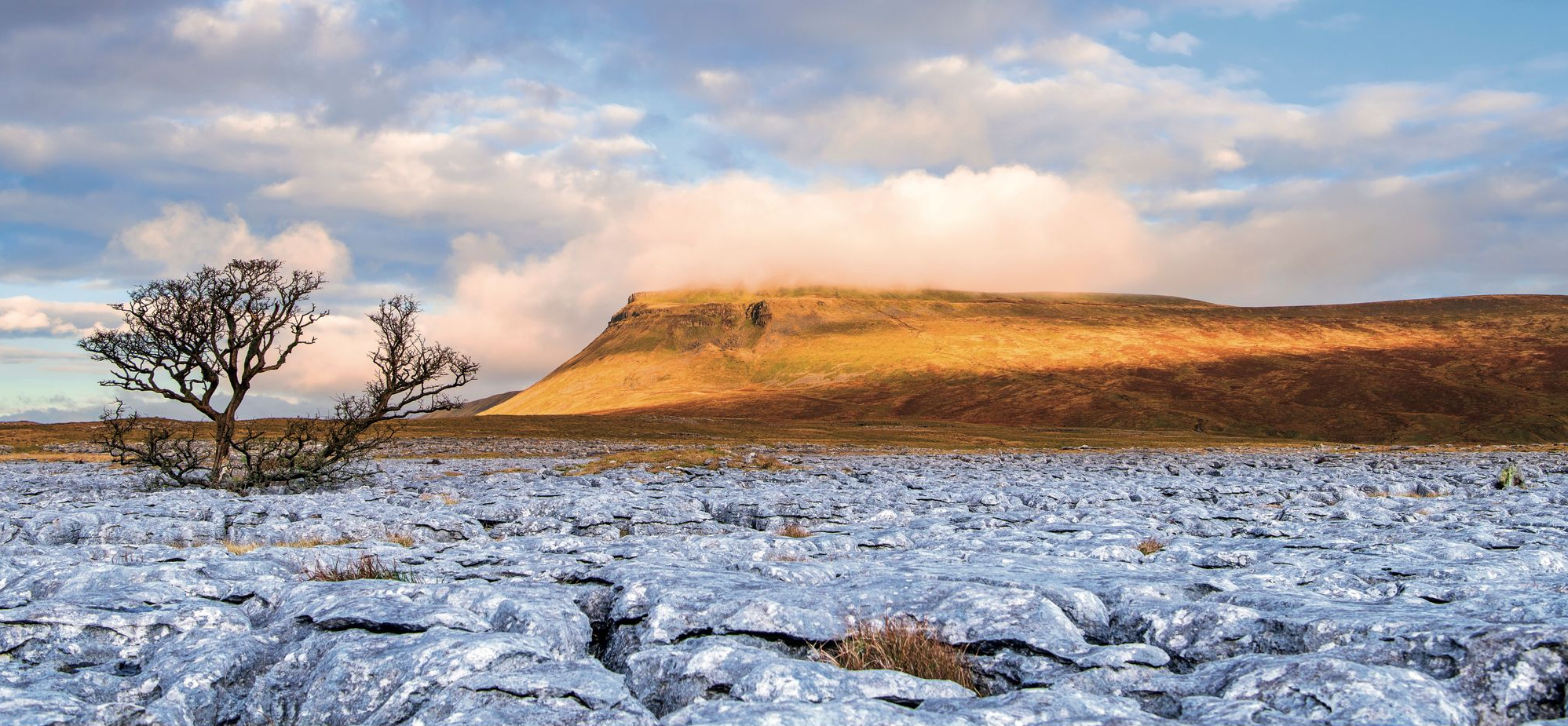 Bath artist launches his popular landscape calendar for 2021