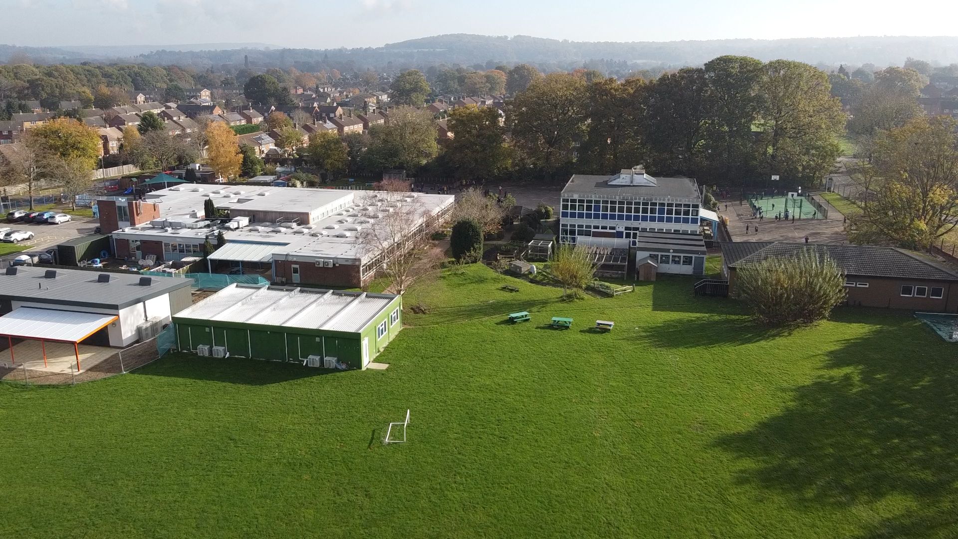 Godalming primary school pupils to help tackle climate change with tree plant