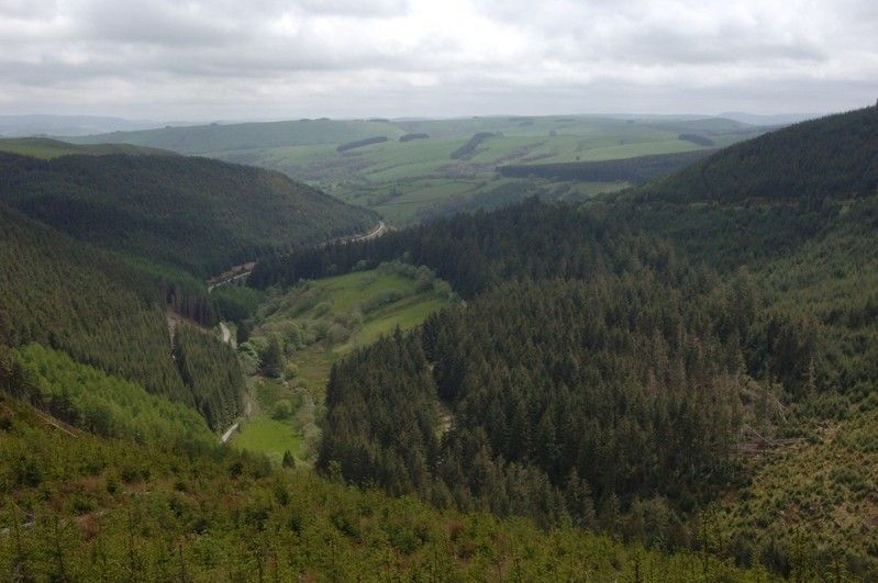Natural Resources Wales prepares new woodland sites