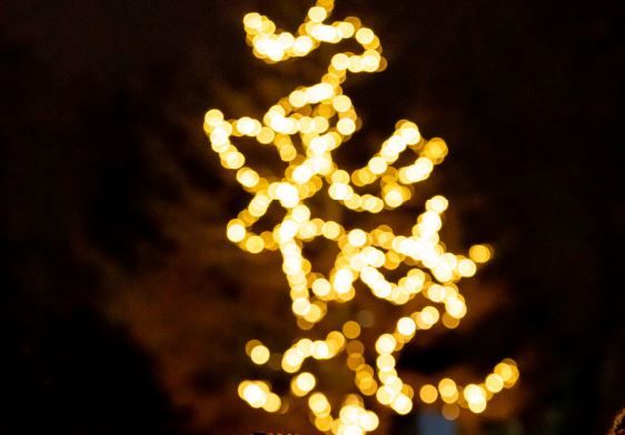 Backford hospice's annual 'Light up a Life' goes on line for this year's service