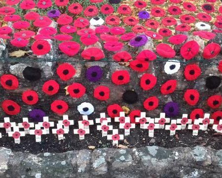 Hemyock and Clayhidon residents raise hundreds for Poppy Appeal