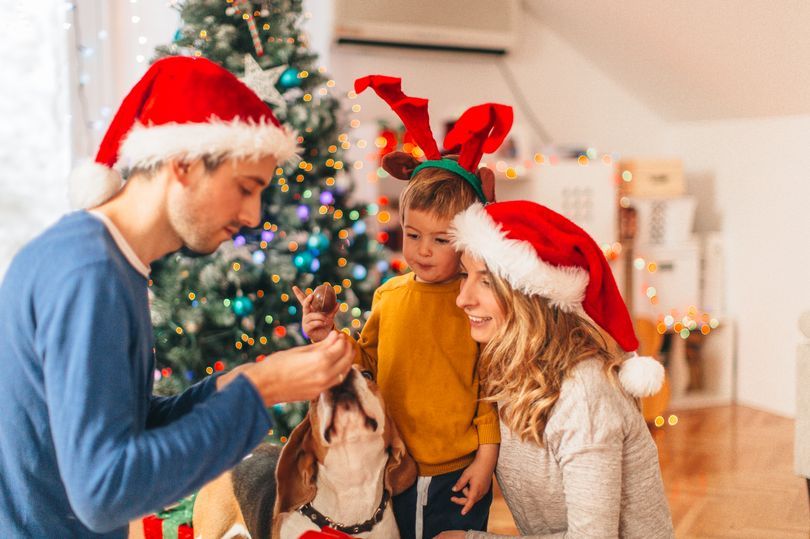 A chance for your family to appear in The Leicester Mercury Santa's Little Helpers print keepsake
