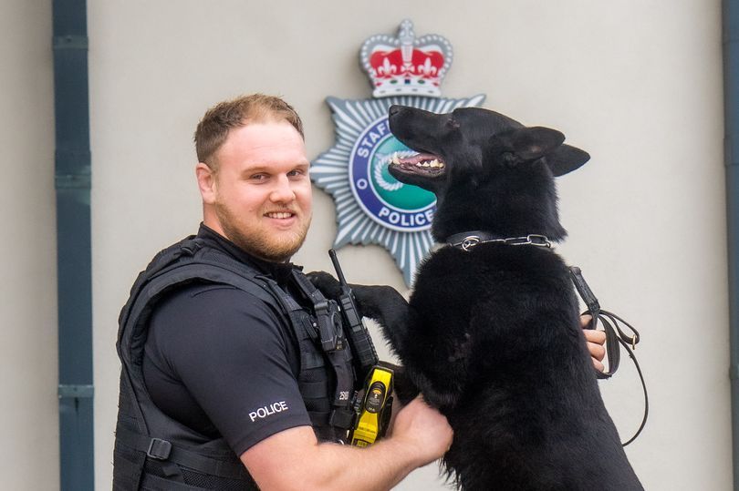 PC Luke and PD Flash officially begin their time as a crimefighting duo