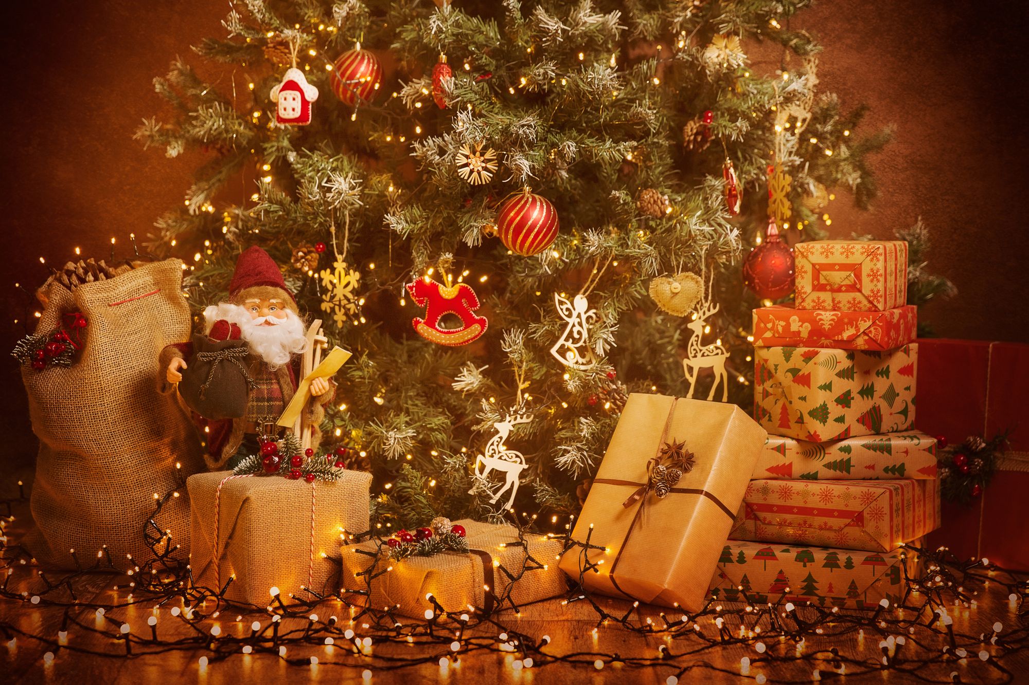 How you can support St Margaret's Hospice Care this Christmas