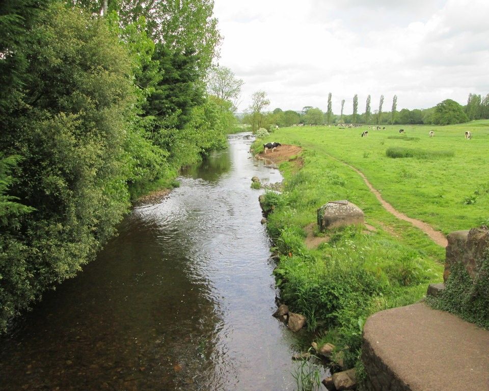 Cycle path along the River Culm could link Willand and Uffculme