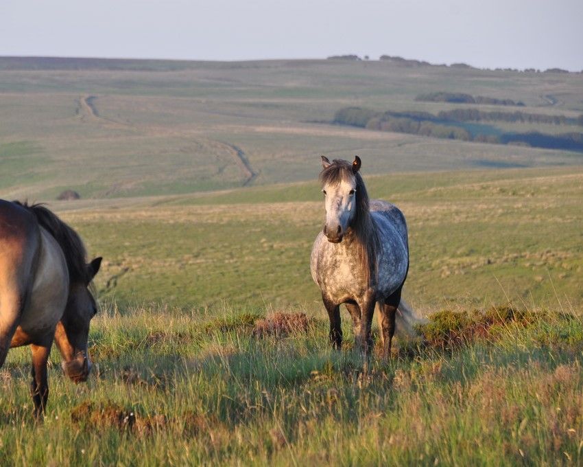 National Parks England launch joint ambitions for the next decade