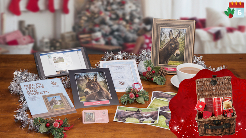 Win a Christmas hamper and The Donkey Sanctuary adoption gift pack in today's calendar giveaway