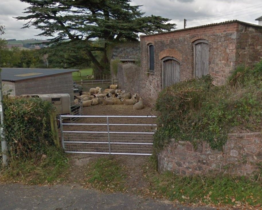 Man in Santa hat seen stealing "well loved" sheep trailer in Tiverton