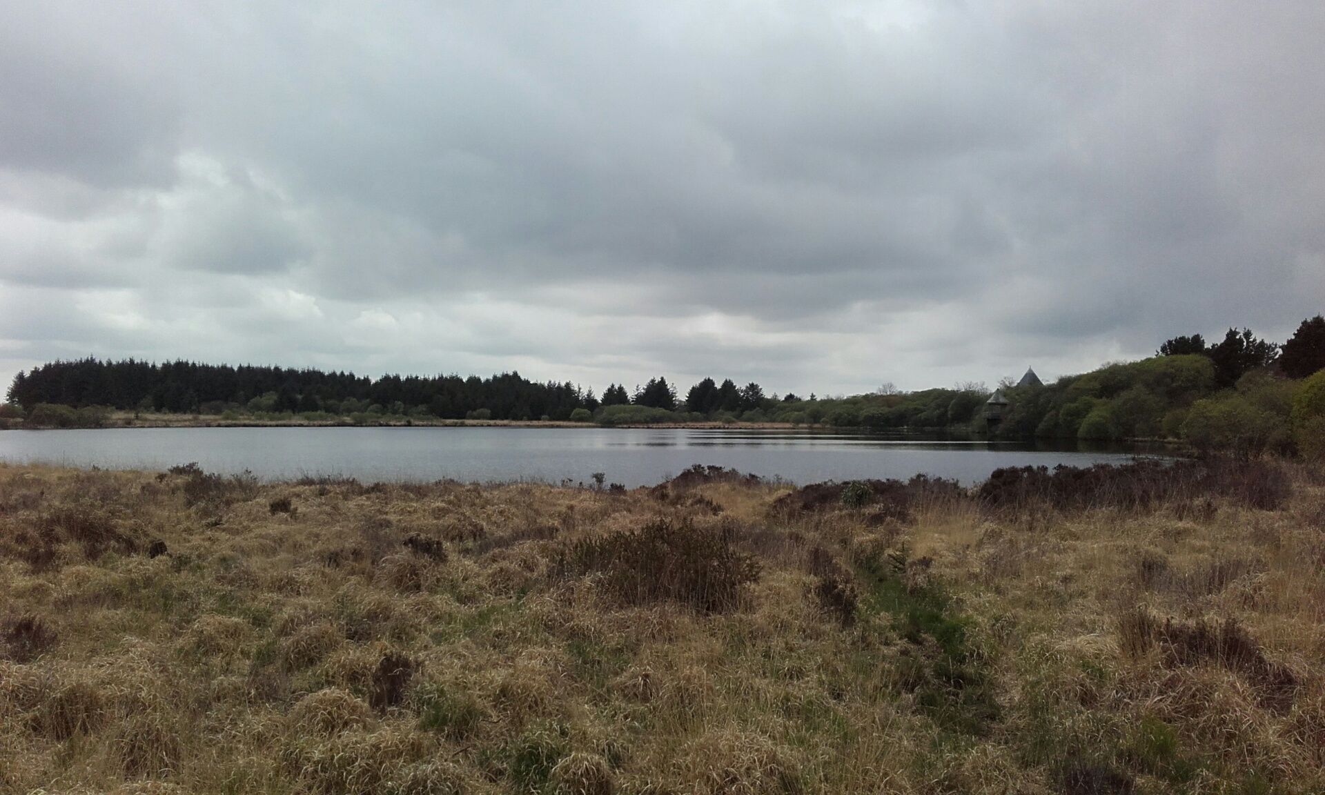 Carmarthenshire's Llyn Llech Owain country park set for major improvement