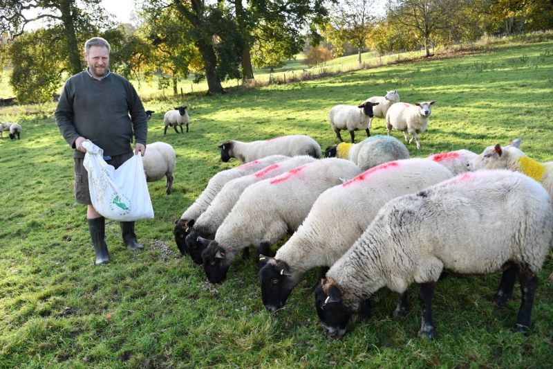 Post-Brexit farming laws good for Surrey environment, says Leatherhead land owner