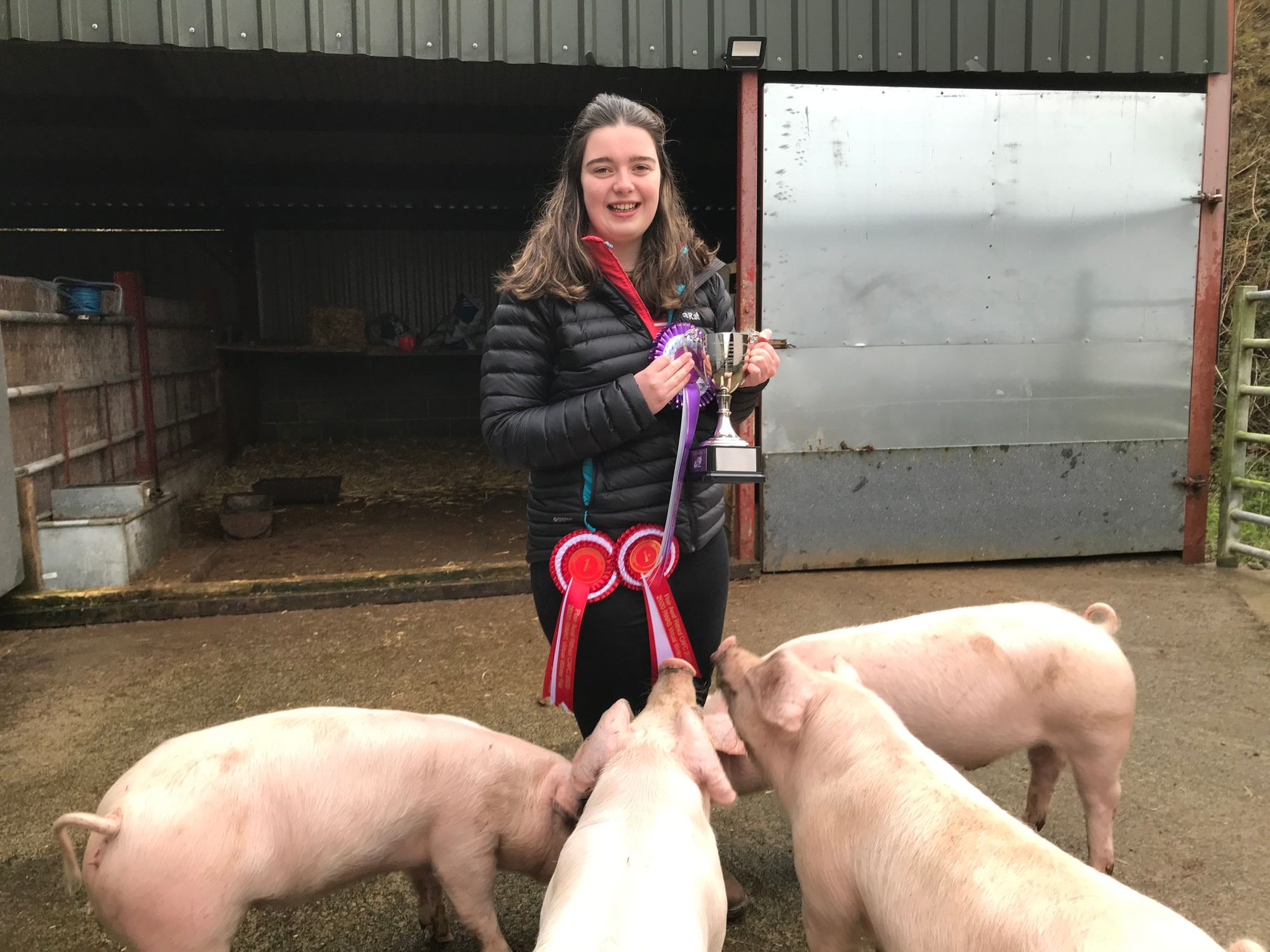 Ceredigion young farmer takes pig finishing title