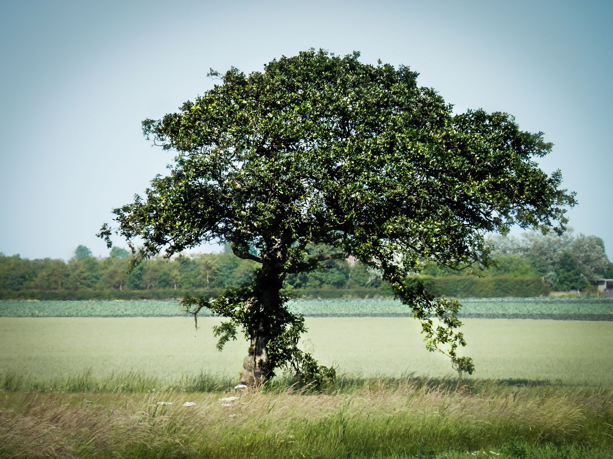 Ormskirk Scene By You: Scenes of West Lancashire captured by local photographers