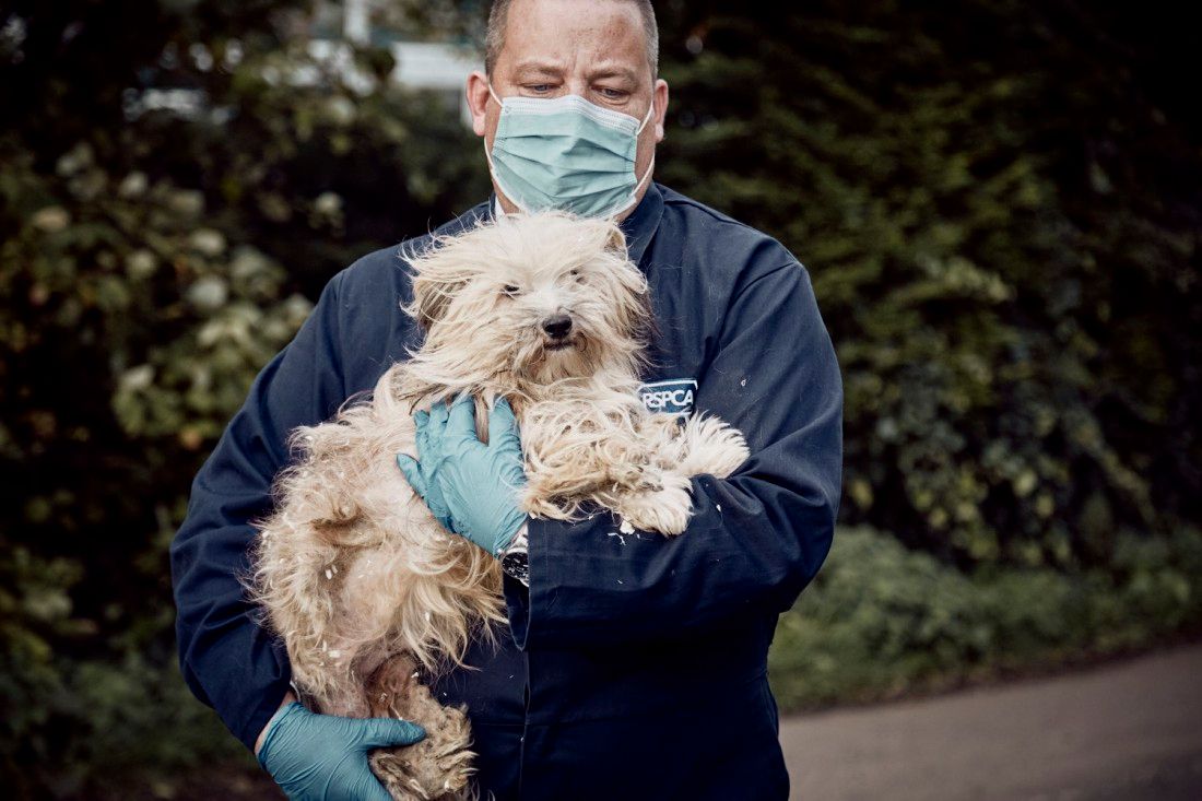 RSPCA fears new pet owners in Kent may struggle this winter