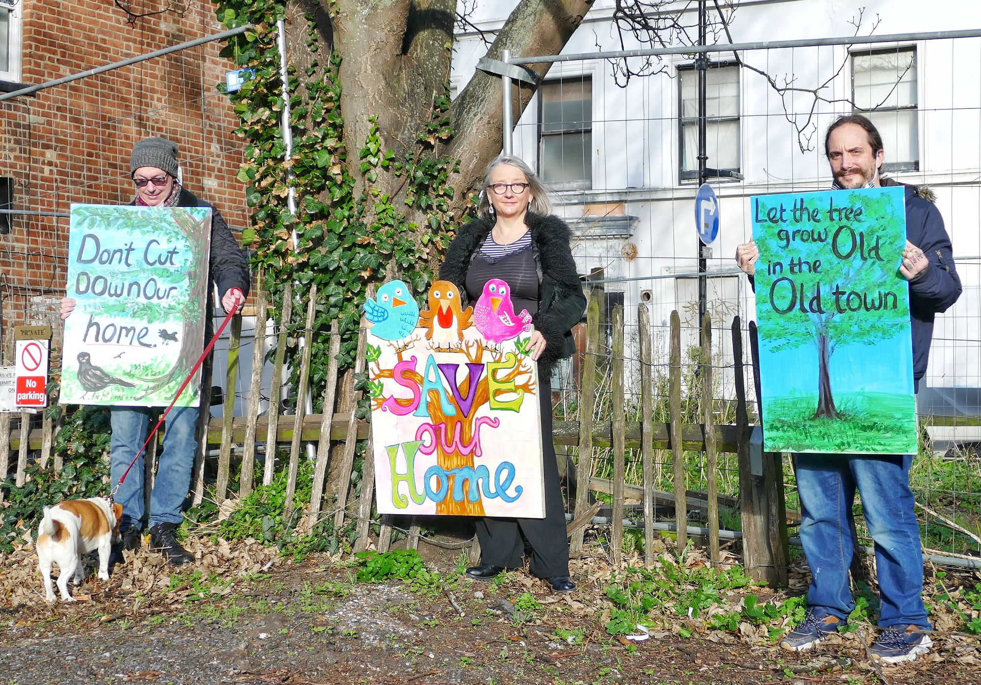 Protest planned against felling of 'the last tree in Margate Old Town'