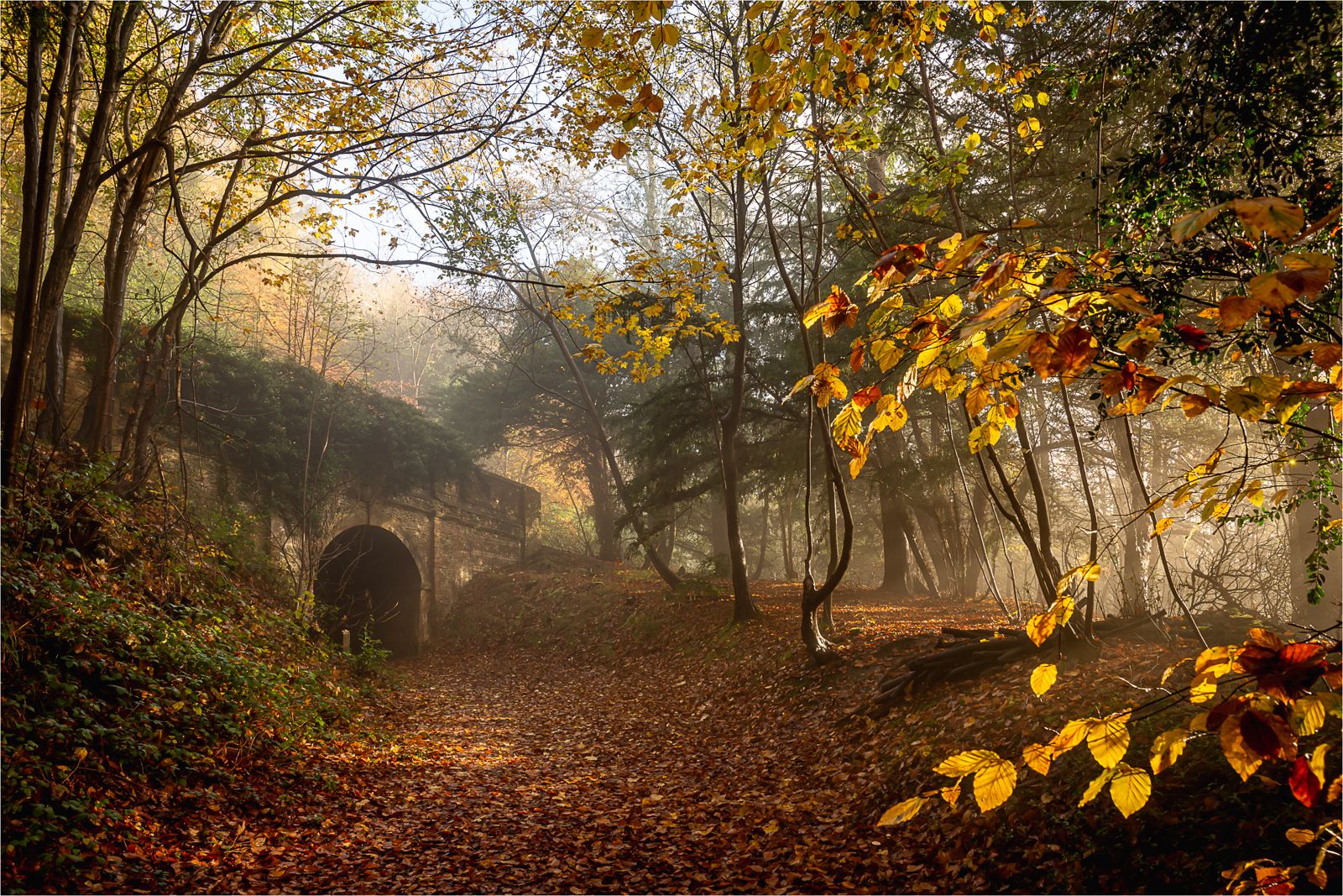 Dorking Camera Club's annual exhibition goes virtual
