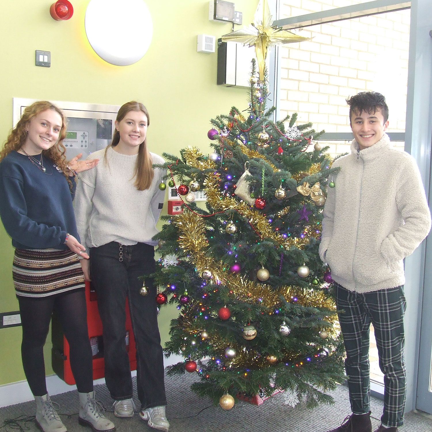 How a cheeky one-off phone call turned into a free Christmas tree
