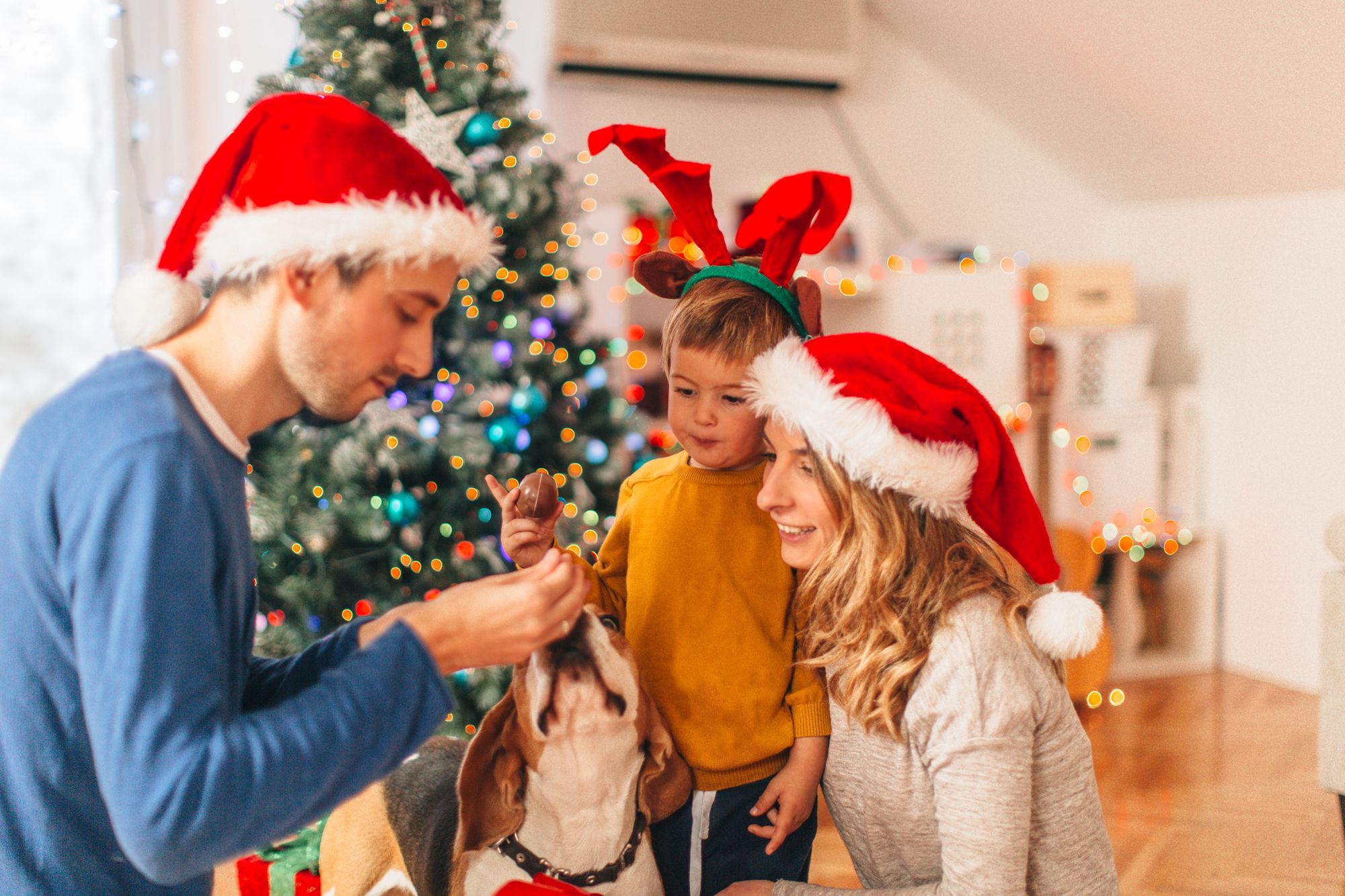 Your Santa's Little Helpers could appear in The Manchester Evening News