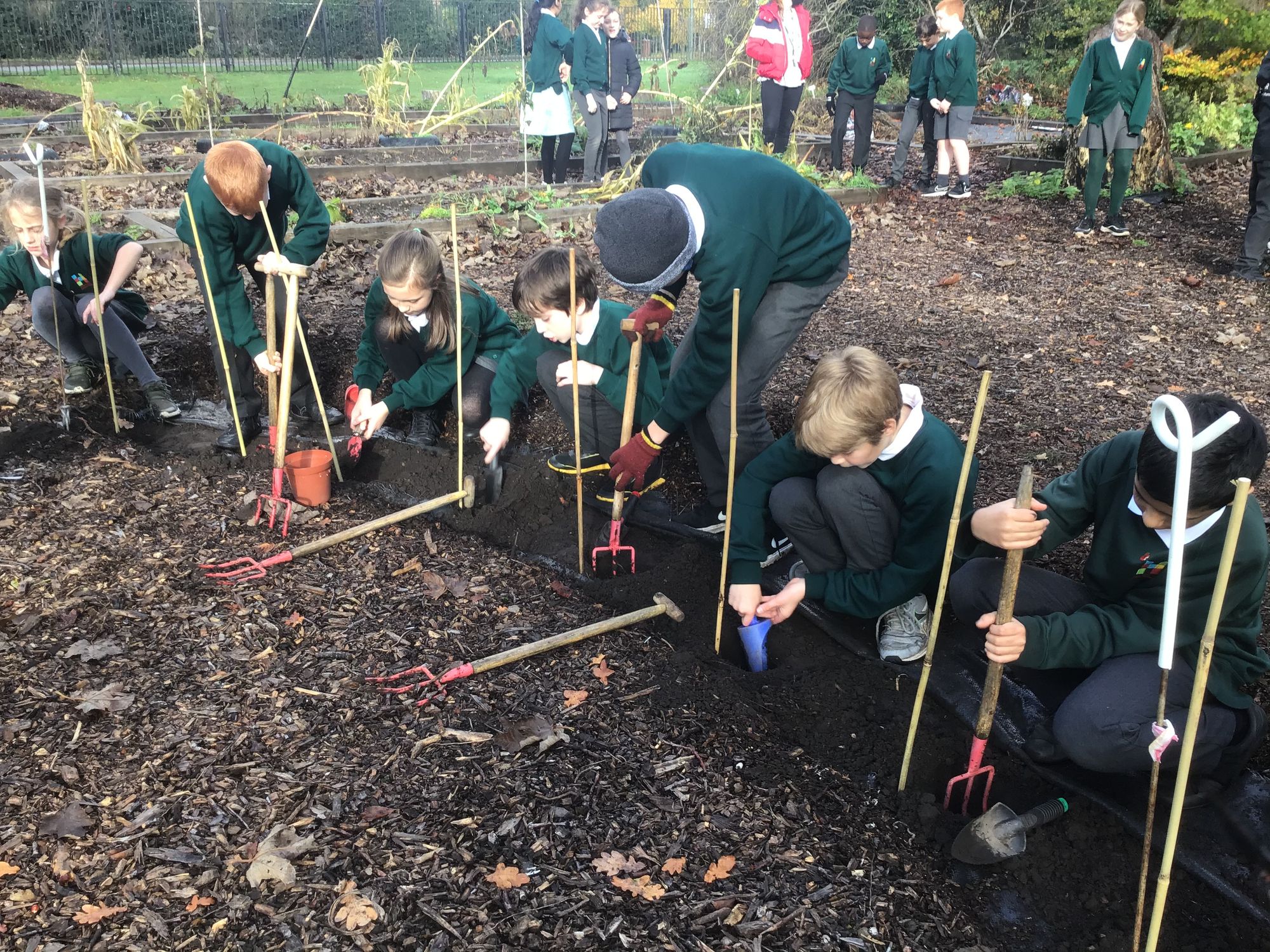 Surrey school takes part in National Tree Week